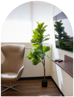 Moderna área de espera en LaCardio, diseñada para ofrecer un espacio cómodo para los pacientes y sus familias mientras reciben atención médica - 