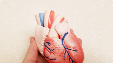 10 pasos para un corazón sano - LaCardio 