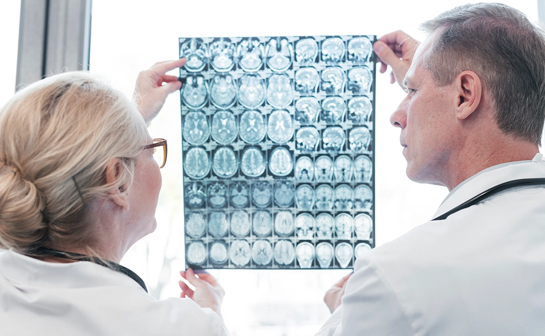 Neuropsicología - LaCardio