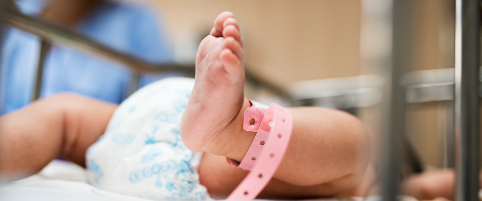 Curso de accesos vasculares CAVA – Neonatal - LaCardio - LaCardio