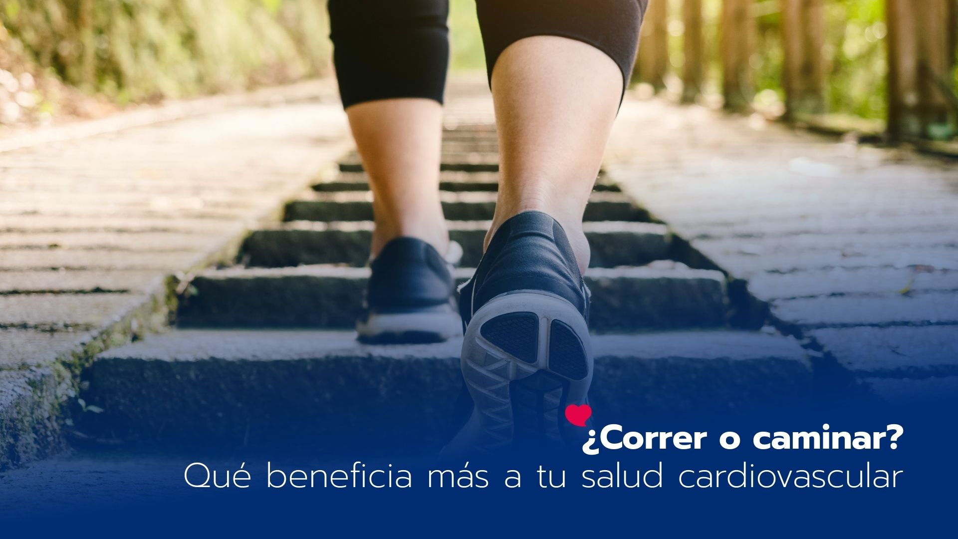 ¿Correr o caminar?: Qué beneficia más a tu salud cardiovascular - LaCardio